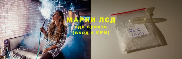 хмурый Аркадак