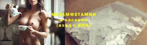 прущие грибы Армянск