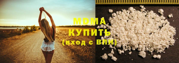 хмурый Аркадак