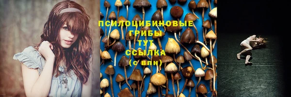 гашиш Магас